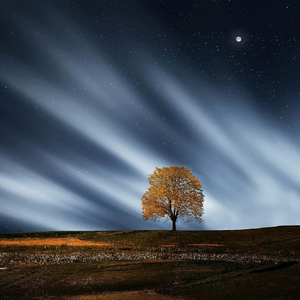 纲手被❌吸乳羞羞的游戏
